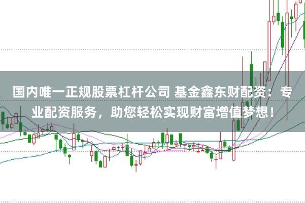 国内唯一正规股票杠杆公司 基金鑫东财配资：专业配资服务，助您轻松实现财富增值梦想！