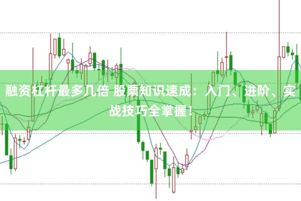 融资杠杆最多几倍 股票知识速成：入门、进阶、实战技巧全掌握！